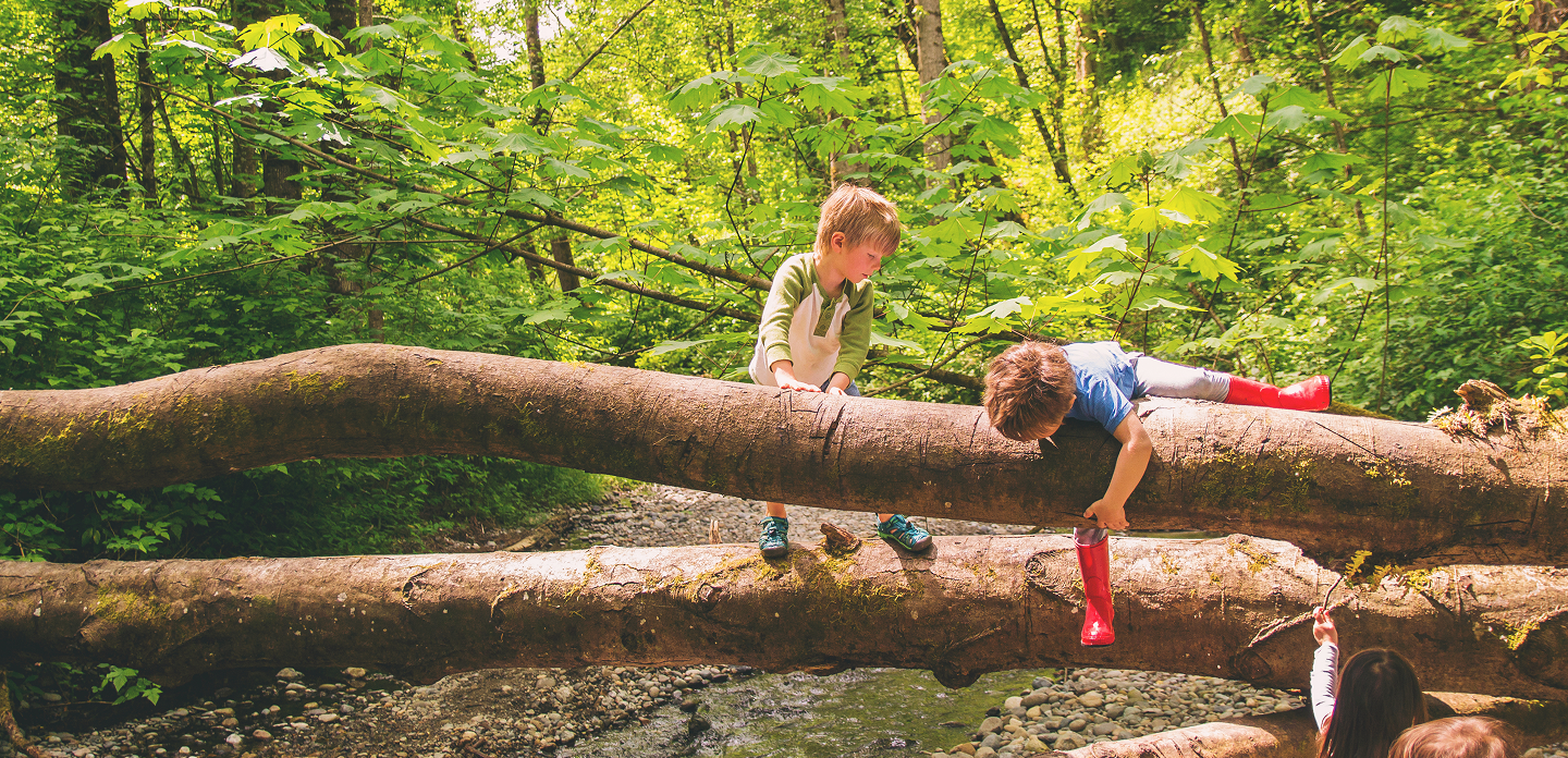 Mikey Young At Heart Banner